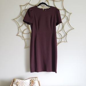 Calvin Klein midi dress size 10